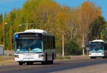 Servicio de transporte de Pehuenche.