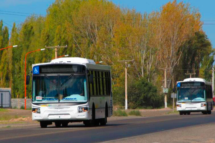 Servicio de transporte de Pehuenche.