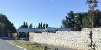 Enojo en Zapala por un nuevo ataque a los árboles