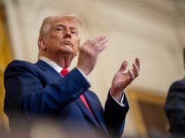 “Accedo a suspender los bombardeos por dos semanas”