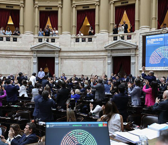 En una sesión caldeada, salieron dos leyes clave para Milei