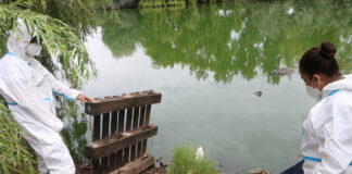 Algo huele mal en la Laguna del Toro y no son lo peces