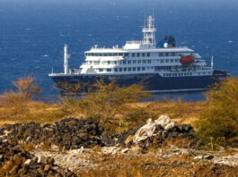 La OMS confirmó un segundo caso de hantavirus en el crucero