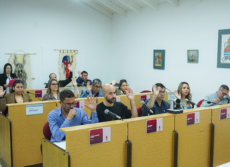 Suspenden el sistema de fotomultas en Plottier