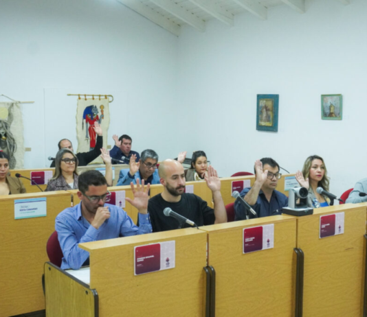 Suspenden el sistema de fotomultas en Plottier