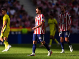 Araña enredada: ahora se ausentó del entrenamiento