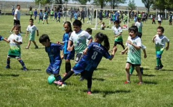 El deporte como política pública
