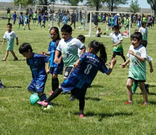 El deporte como política pública