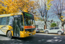 El municipio emitió un comunicado acerca del transporte público