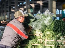 Verduras a precio mayorista, también los sábados