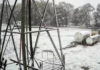 Las Altas Cumbres de Córdoba quedaron blancas